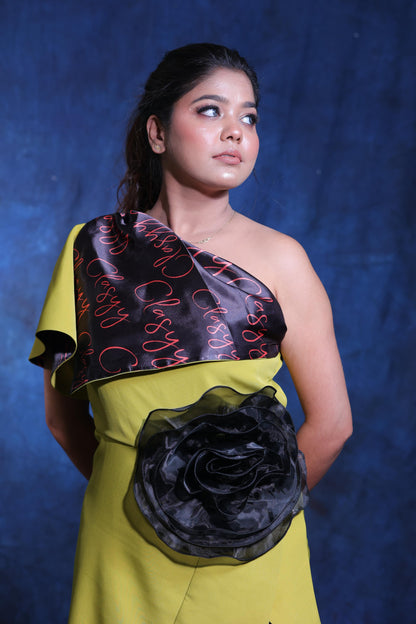 Reverse clasyy flower dress